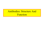 Antibodies: Structure and Function Chpt. 4