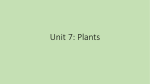 Unit 7: Plants