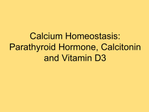 Calcium homeostasis: regulation by Parathyroid Hormone