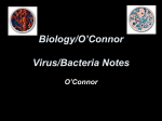 Virus/Bacteria Notes