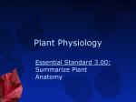 Horticulture I- Unit B 3.00 Plant Physiology