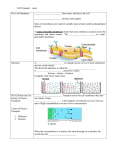 Transport Across the Membrane Notes