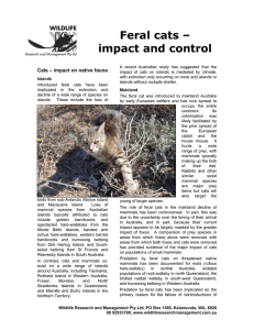 Feral cats – impact and control - Wildlife Research and Management