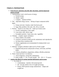 Chapter 2: Nutritional Needs Name the key nutrients, describe their