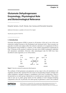 Glutamate Dehydrogenases: Enzymology, Physiological