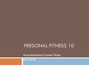 HCS 1050 Musculoskeletal System Powerpoint