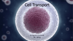 Cell Transport14 Wiley