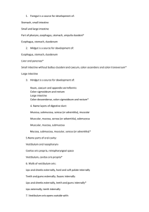 Foregut is a source for development of: Stomach, small intestine