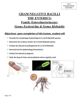 Escherichia coli Urinary Tract Infections