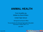 ANIMAL HEALTH