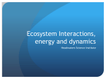 Ecosystem Interactions, energy and dynamics