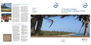a situation analysis for the Wider caribbean region