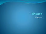 Tissues