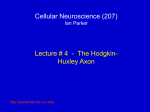 Cellular Neuroscience (207) Ian Parker