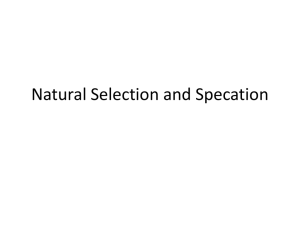 Natural Selection and Specation