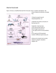 IB food webs