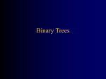 Binary Trees - CIS @ UPenn