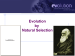 AP Biology 2006-2007 Evolution by Natural Selection AP Biology