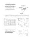 Phylogenics Questions The phylogenic analysis shown suggests