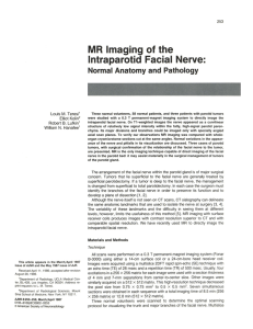 MR Imaging of the Intraparotid Facial Nerve