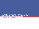 Anatomy and Physiology