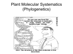 Plant Molecular Systematics