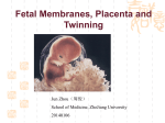 placental-fetal membrane