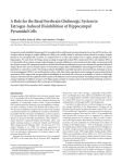 A Role for the Basal Forebrain Cholinergic System in Estrogen