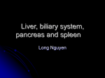 Liver, biliary system, pancreas and spleen - iiNet