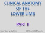 Deep Fibular Nerve Entrapment