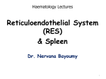 Lecture 1- Reticuloendothelial S and Spleen lecture