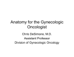 Anatomy for the Gynecologic Oncologist