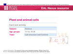 Plant and animal cells card sort. - EAL Nexus