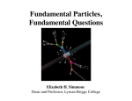 Fundamental Particles, Fundamental Questions