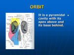 07-orbit(1)2008-11-04 10:116.5 MB