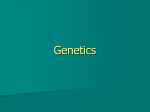 genetic info notes