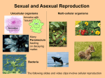 Sexual and Asexual Reproduction