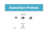 Evolution Pretest Grading