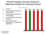 Animal breeders use test crosses to determine whether an individual