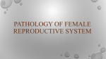 pathology of female reproductive system