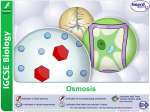 Osmosis - Boardworks