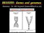 BB30055: Genes and genomes