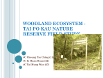 Woodland Ecosystem - Tai Po Kau Nature Reserve Field Study