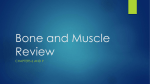 Bone and Muscle Review