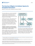 The American Alligator: An Indicator Species for Everglades