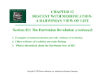 Section B2: The Darwinian Revolution (continued) CHAPTER 22