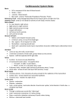 Cardiovascular System Notes