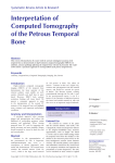 Interpretation of Computed Tomography of the Petrous Temporal Bone