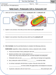 Rally Coach – Prokaryotic Cell vs. Eukaryotic Cell App