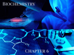 Biochemistry Chapter 6